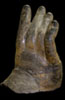 Buddha Hand MET.30.81 photo 5