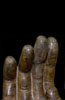 Buddha Hand MET.30.81 photo 7