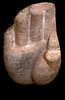 Buddha Hand OSA.8499 Photo 8